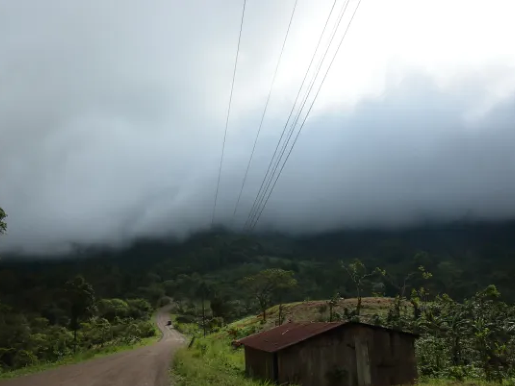 Friskristet kaffe Nicaragua - Finca Pernille