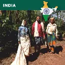 Indien Kathlekan estate.webp