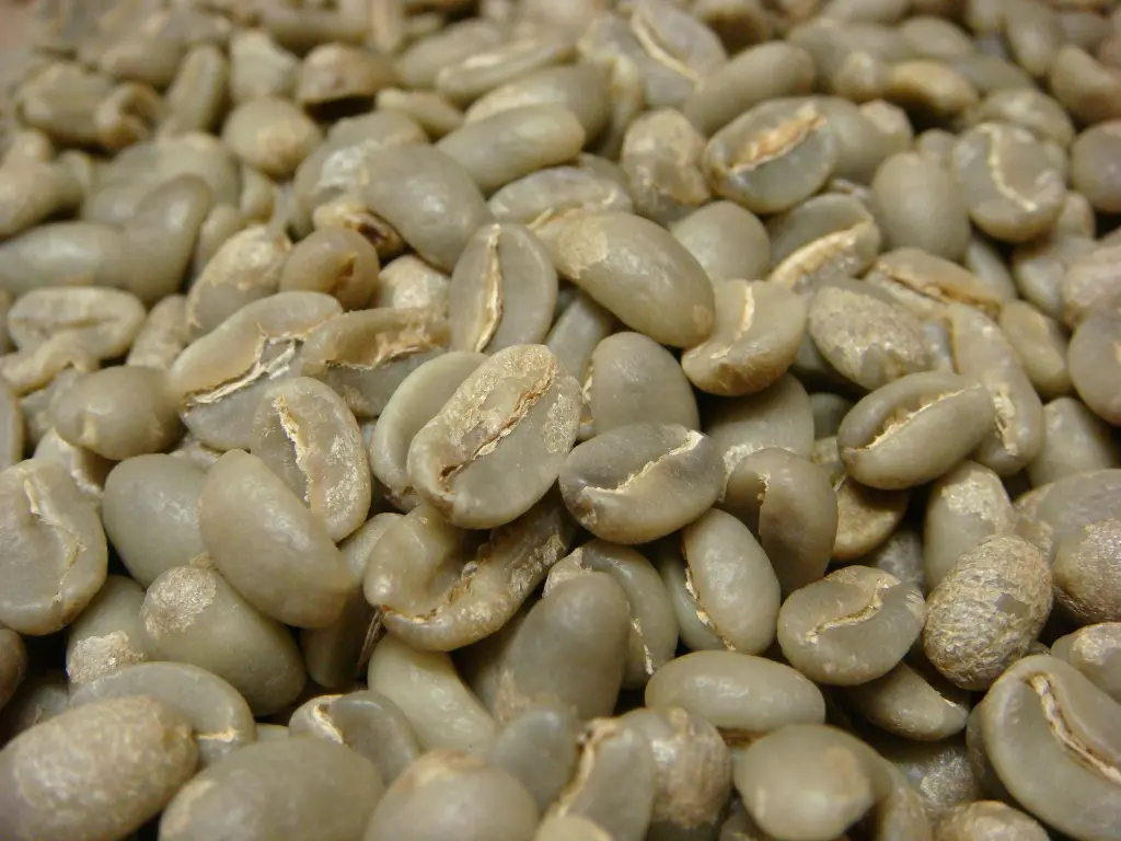 Kaffebønner.webp