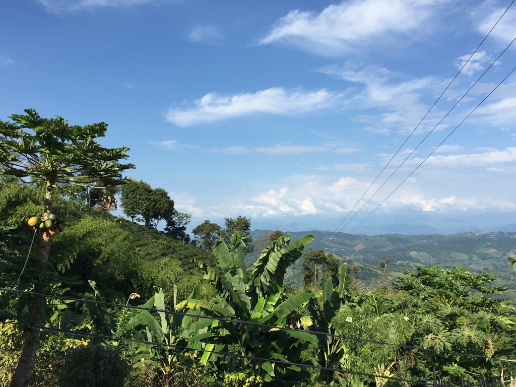 Colombia Udsigt Huila Los Hibiscos