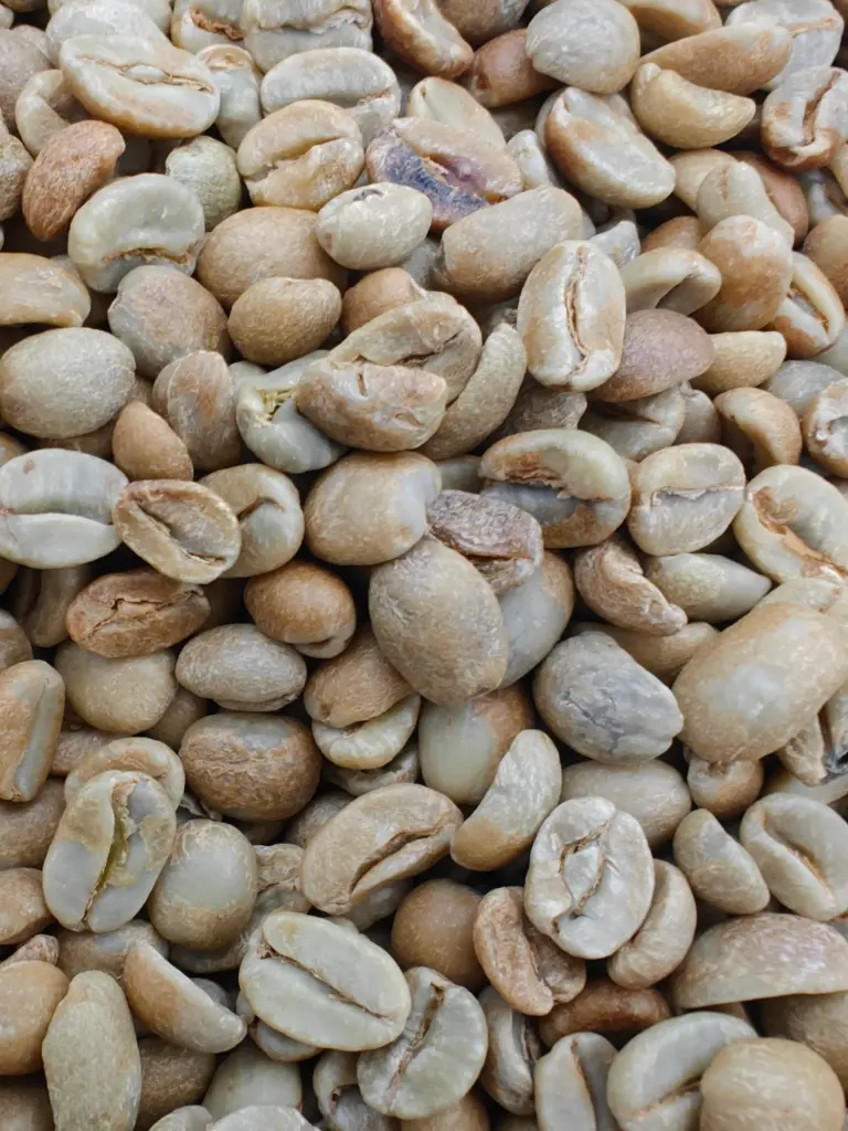 Grønne bønner - Guatemala Natural Arabica Finca Medina SHB EP C