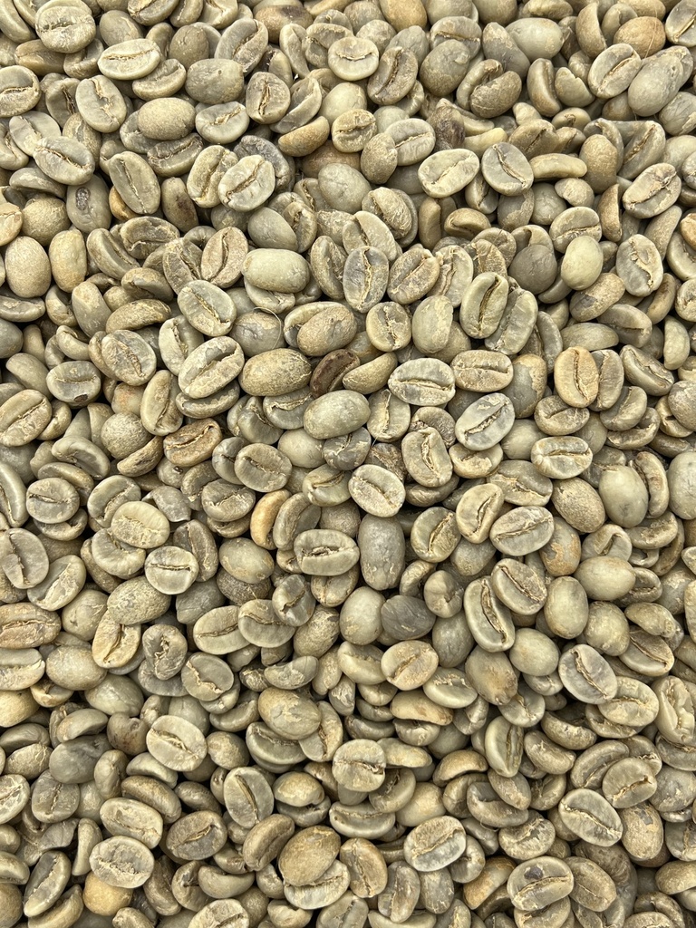 Grønne Bønner - Indien washed Arabica Plantation AA Little Flower, Kathlekhan Estate