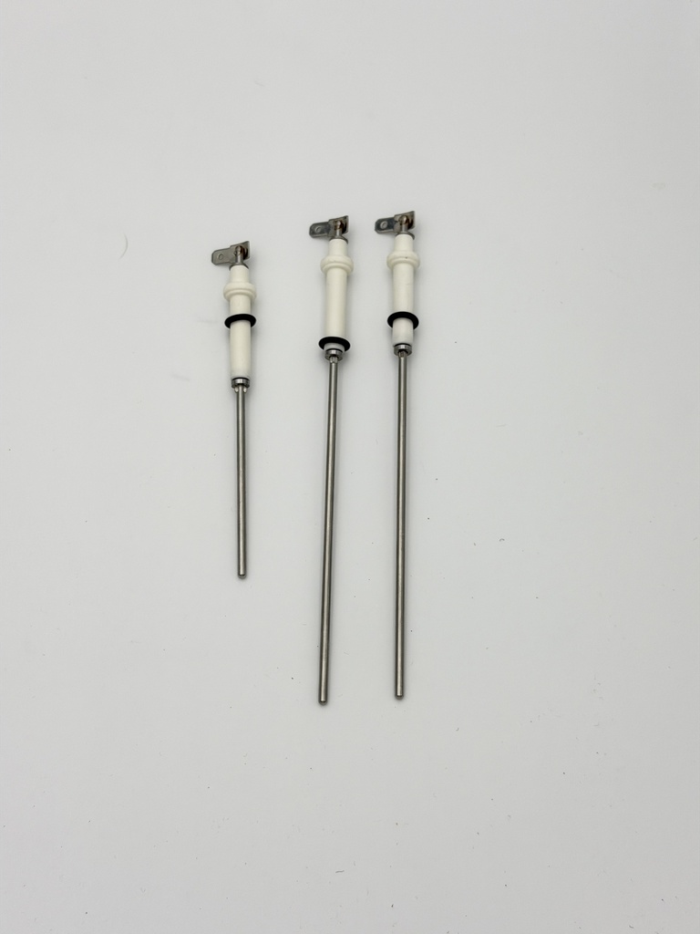 R-Sage Probe Steam Boiler Set 240V NY