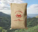 Grønne bønner - Indien washed Arabica Plantation AA Little Flower Chinennahally Estate SkovKaffe