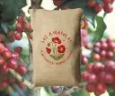 Grønne Bønner - Guatemala SHB EP Arabica Huehuetenango Las Amapolas SkovKaffe