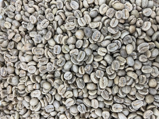 [31100300] Costa Rica grønne bønner - washed Arabica. SHB EP La Pastora Tarrazu