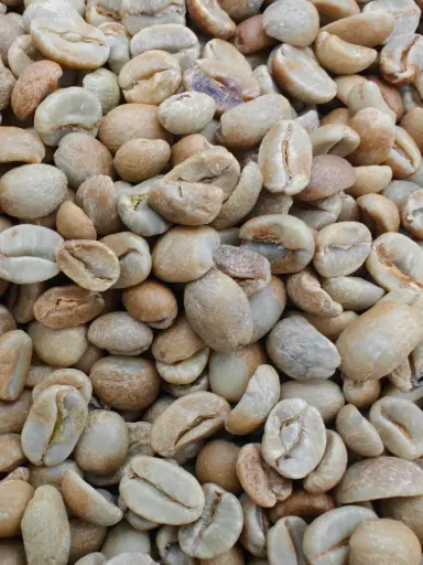 Grønne bønner - Guatemala Natural Arabica Finca Medina SHB EP C