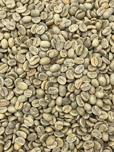 Grønne Bønner - Indien washed Arabica Plantation AA Little Flower, Kathlekhan Estate